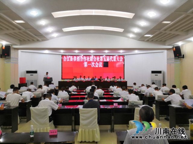 合江县供销合作社联合社召开换届选举大会