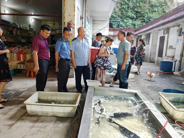 文明城市迎复检 泸州市场监管人全力备战！(图4)