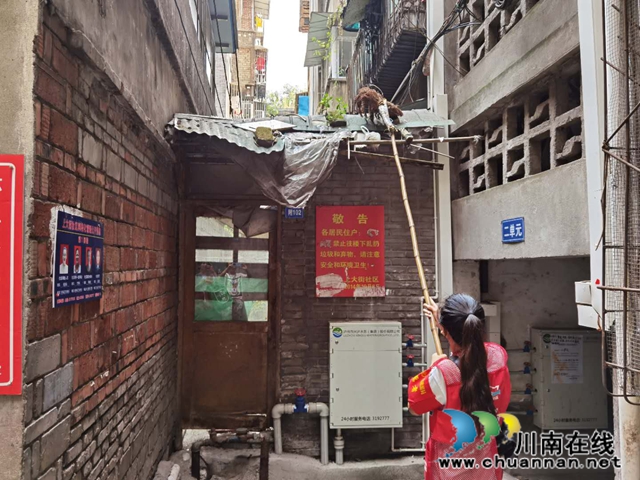 龙马潭区小市街道：“志愿红”助力全国文明城市建设(图4)