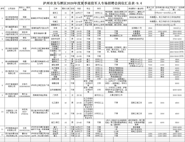 龙马潭区退役军人专场招聘会 “职”等你来！（附岗位表）(图4)