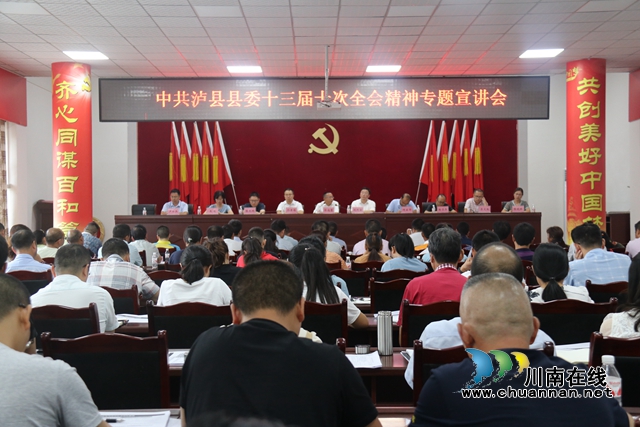 泸县百和镇专题传达学习县委十三届十次全会精神