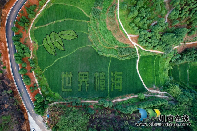 宜宾：三大试点探索扶贫攻坚“叙州样本”