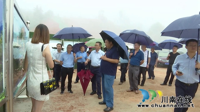 合江县人大常委会视察旅游重点建设项目