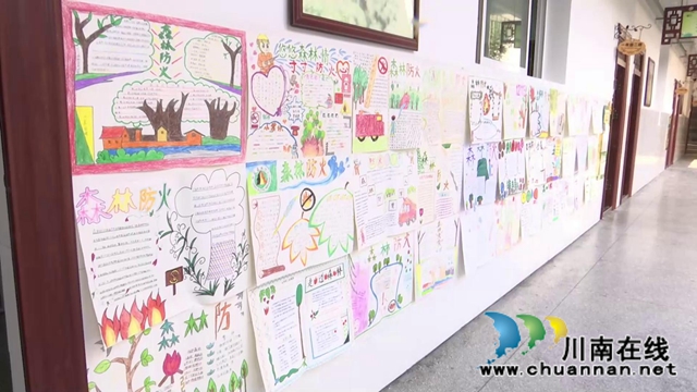 合江县中小学：开学第一课，安全记心间