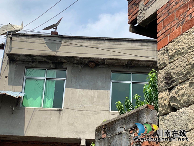 内江经开区靖民镇凉风社区：辖区巡有马蜂窝，格格积极消隐患