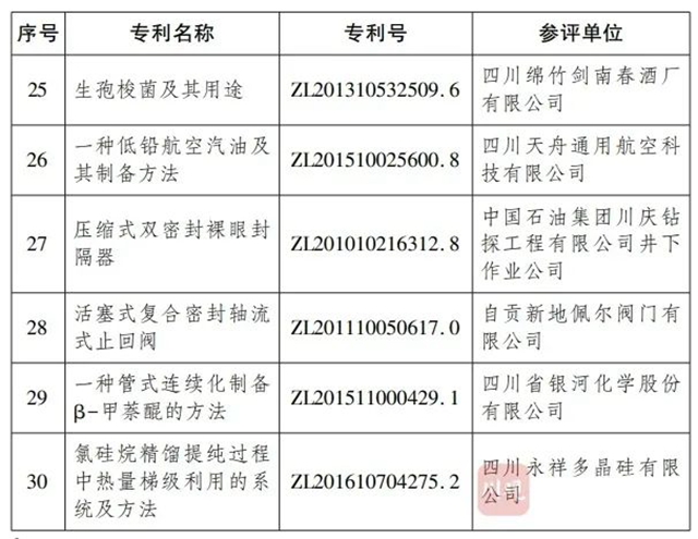 2019年度四川省专利奖出炉！(图7)