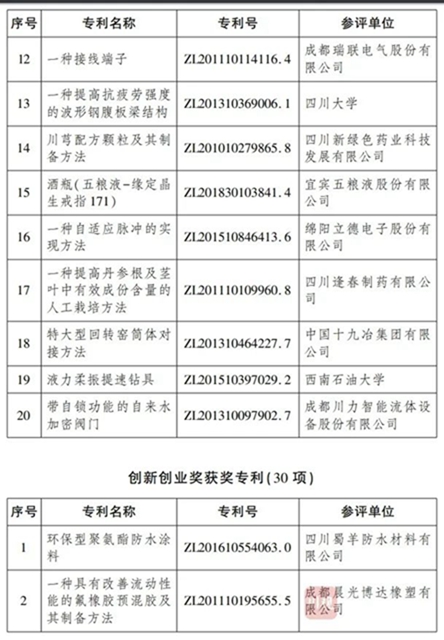 2019年度四川省专利奖出炉！(图4)