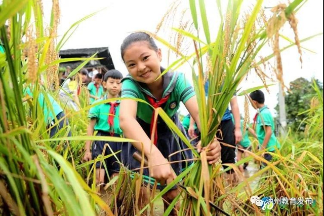 全国多家媒体共同关注|纳溪这堂“开学第一课”火了！看看讲些啥子？(图9)