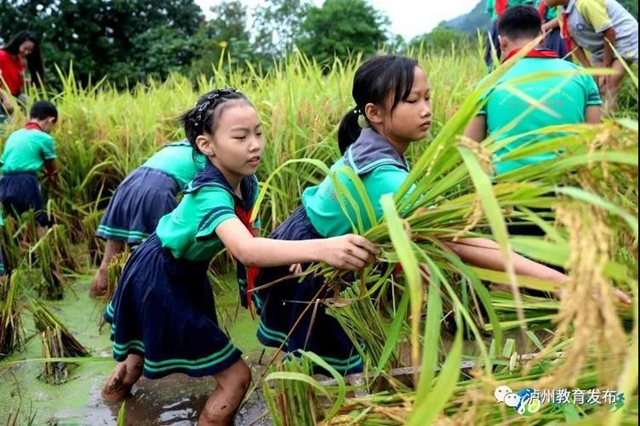 全国多家媒体共同关注|纳溪这堂“开学第一课”火了！看看讲些啥子？(图11)