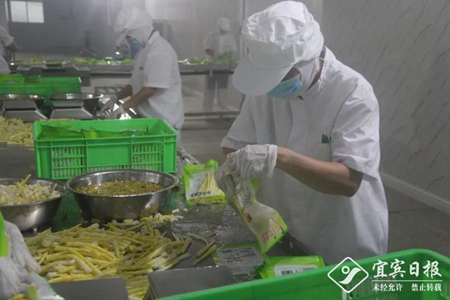 宜宾最大短板如何突围？要紧紧抓住这个“牛鼻子”......(图4)