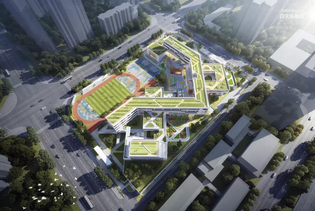 宜宾城区将新增三所公立学校！办学规模、位置……(图8)