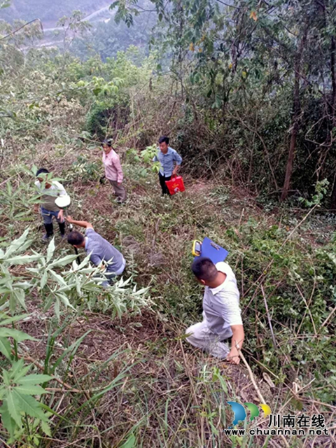 古蔺：测绘人员征战高山丛林 助力古金高速公路项目建设(图2)