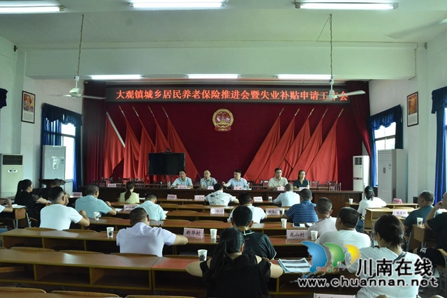 宜宾南溪区大观镇召开城乡居民养老保险推进会暨失业补贴申请工作会
