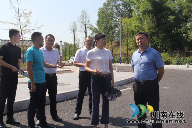 杨双全率队到泸县云龙镇调研云龙空港产业特色镇二期项目建设情况