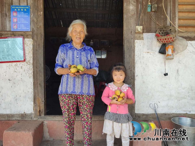 纳溪法院：“一站式”精准扶贫  脱贫户“柿柿”如意