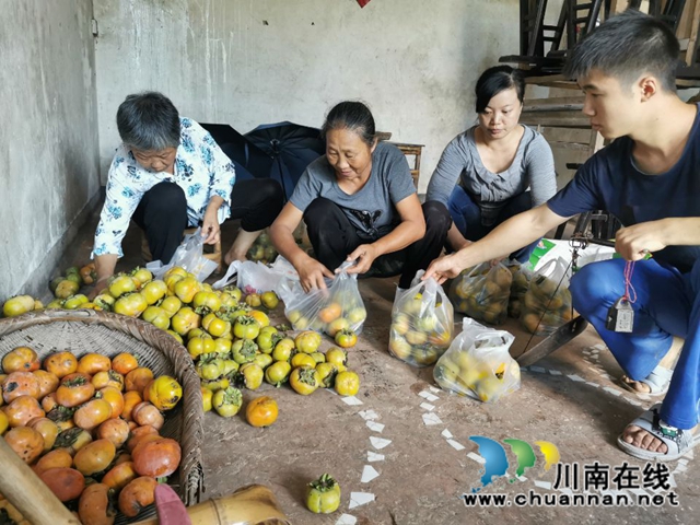 纳溪法院：“一站式”精准扶贫  脱贫户“柿柿”如意(图9)