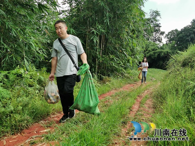 纳溪法院：“一站式”精准扶贫  脱贫户“柿柿”如意(图11)