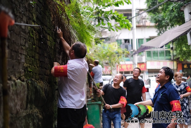 龙马潭区小市街道：退休党员发挥余热 助力文明城市建设