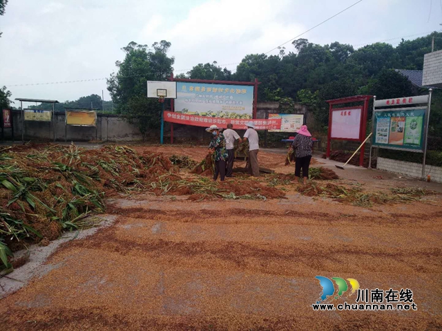 泸县立石镇因地制宜实现农村经济“造血功能”