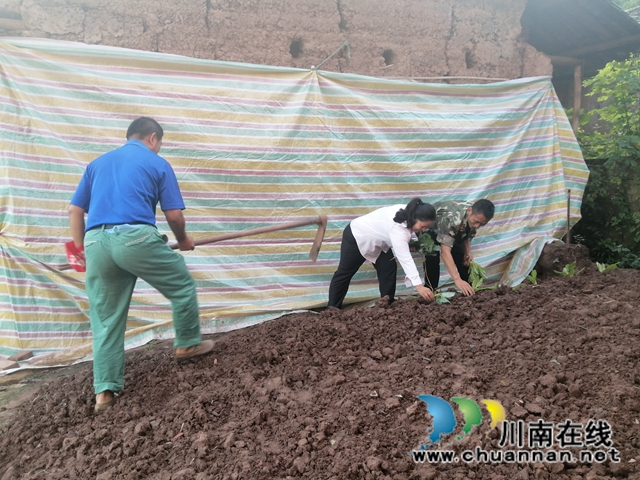 内江经开区靖民镇双塘村：用行动关怀困难、弱势群体