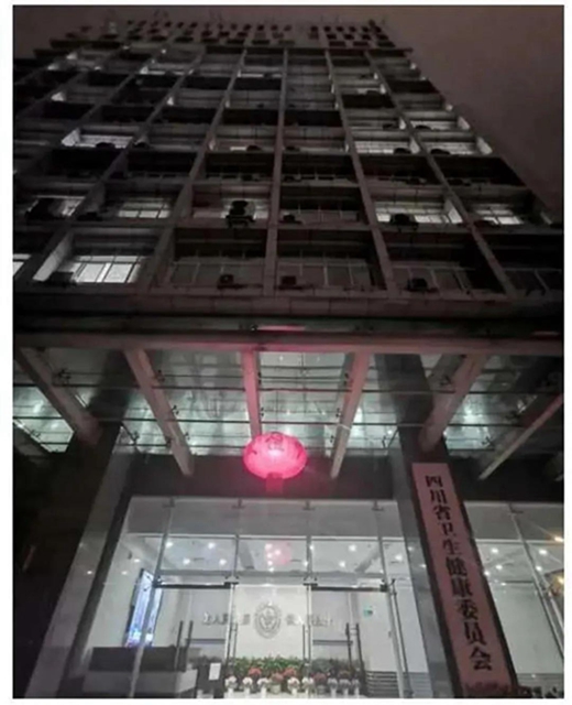 国家级荣誉！四川省卫生健康委员会获评全国抗击新冠肺炎疫情先进集体(图4)