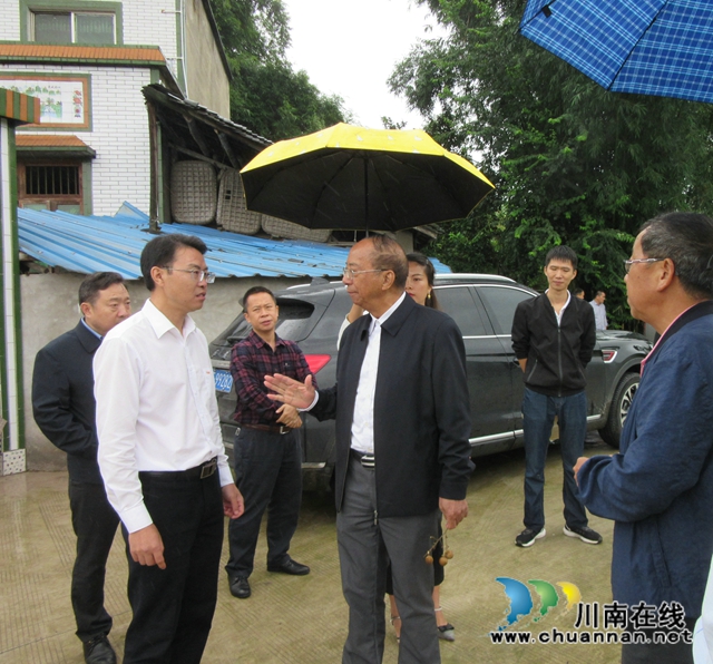 中科院院士到泸县潮河镇调研再生稻生产(图3)