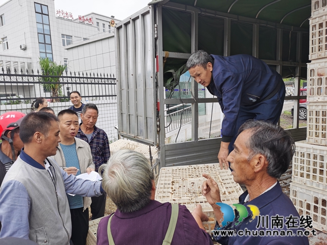 泸县残联到立石镇开展2020年度扶持农村贫困残疾人发展生产（养鸡技术）培训(图1)