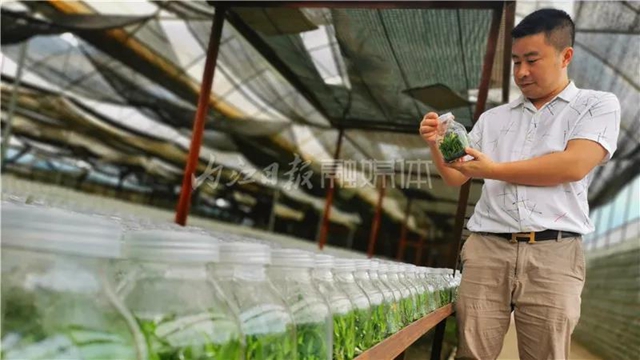 厉害!这项技术,内江做到了全国领先(图9) 厉害!这项技术,内江做到了全国领先(图9)