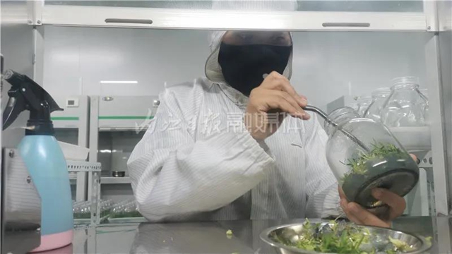 厉害!这项技术,内江做到了全国领先(图1) 厉害!这项技术,内江做到了全国领先(图1)