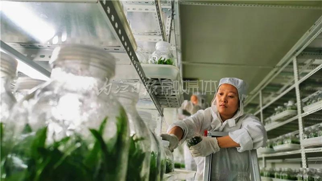 厉害!这项技术,内江做到了全国领先(图4) 厉害!这项技术,内江做到了全国领先(图4)