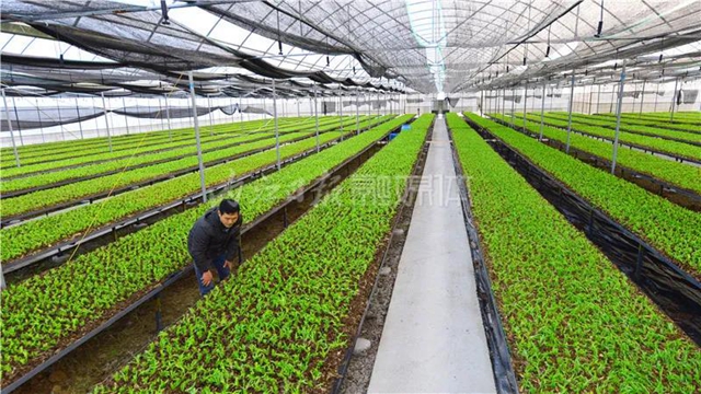 厉害!这项技术,内江做到了全国领先(图6) 厉害!这项技术,内江做到了全国领先(图6)