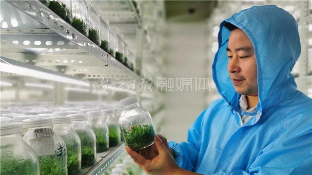 厉害!这项技术,内江做到了全国领先(图11) 厉害!这项技术,内江做到了全国领先(图11)