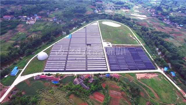 厉害!这项技术,内江做到了全国领先(图12) 厉害!这项技术,内江做到了全国领先(图12)