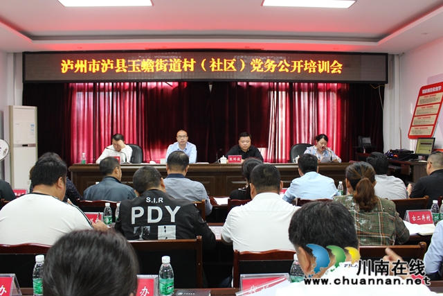 泸县玉蟾街道召开村（居）务公开工作推进会(图3)