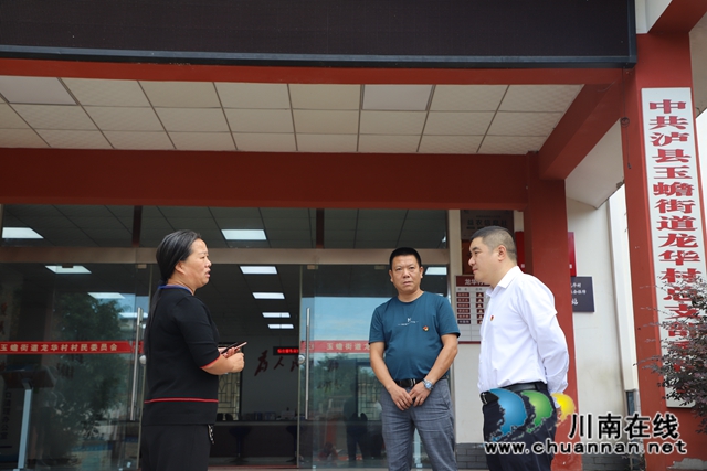 泸州市委组织部到玉蟾街道调研特聘村主任暨乡村振兴工作(图2)