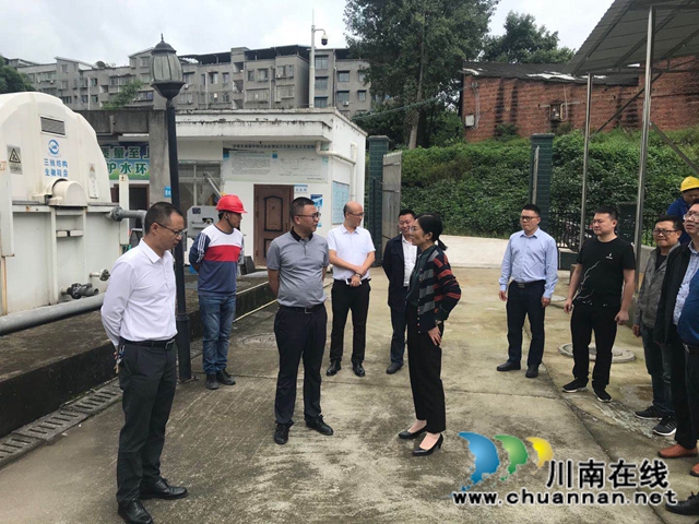 章磊督导检查泸县龙溪河河长制工作(图1)