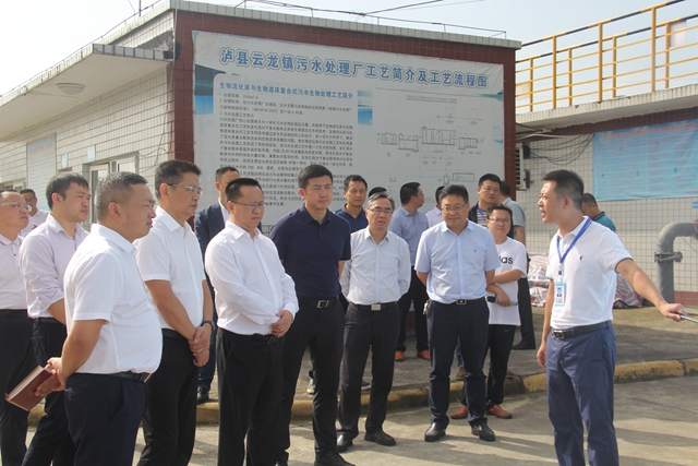 何洪波率队督导泸县龙溪河河长制工作(图1)