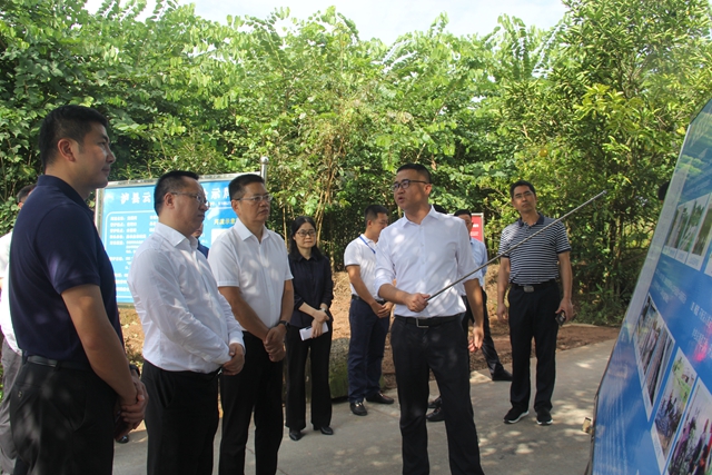 何洪波率队督导泸县龙溪河河长制工作(图4)