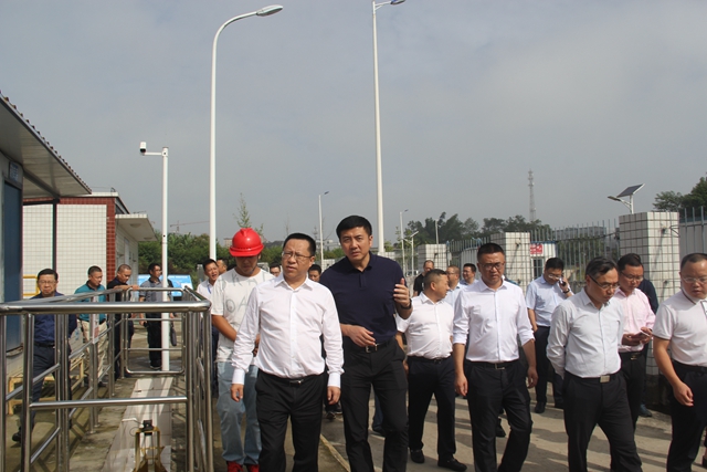 何洪波率队督导泸县龙溪河河长制工作(图3)