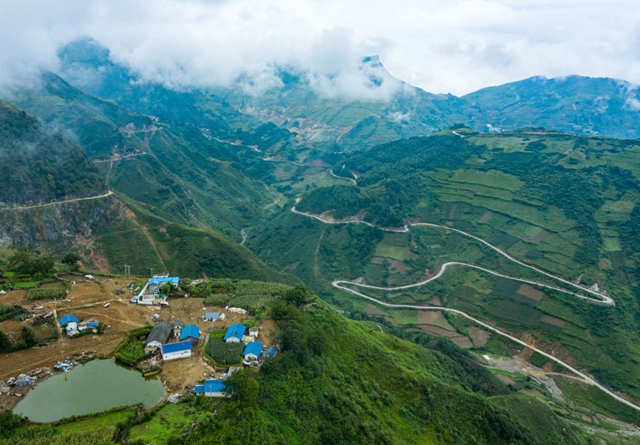 最后的收割(图1) 最后的收割(图1)