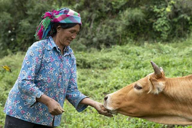 最后的收割(图4) 最后的收割(图4)