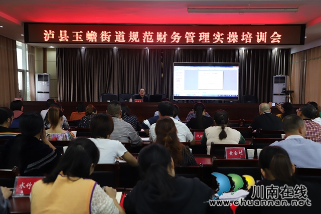 泸县玉蟾街道开展规范财务管理实操培训会(图1)