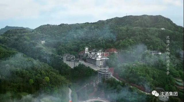 中国沈酒集团获评省级竹林人家(图3)