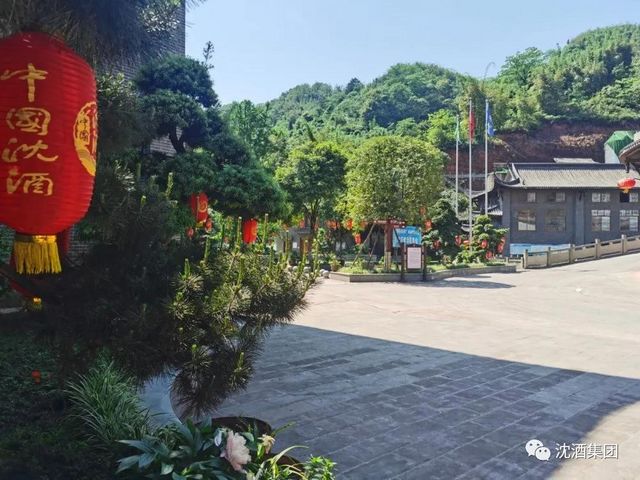 中国沈酒集团获评省级竹林人家(图5)