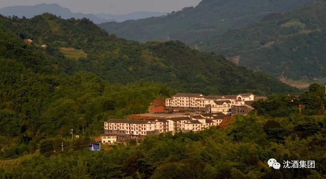 中国沈酒集团获评省级竹林人家(图6)