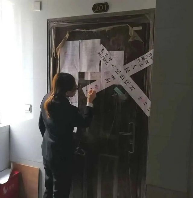 ​龙马潭区法院“六稳”“六保”专项执行行动之服务民营经济(图6)