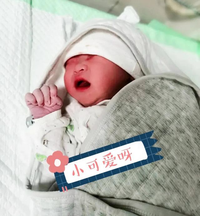 【可爱】一百年仅四次，看看昨天降临的双节萌宝！(图7)