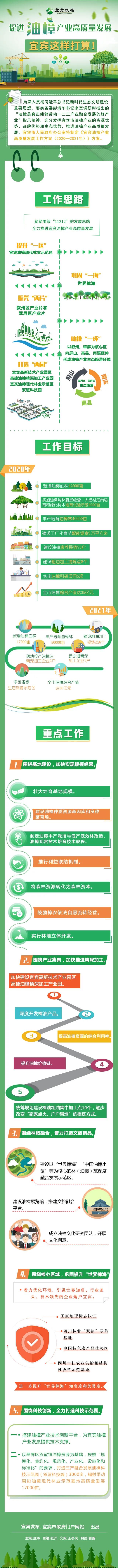 促进油樟产业高质量发展，宜宾这样打算！(图4)