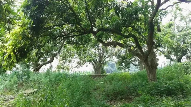 300多年历史变迁，内江这个古寨更有韵味——探访猫儿寨(图2)