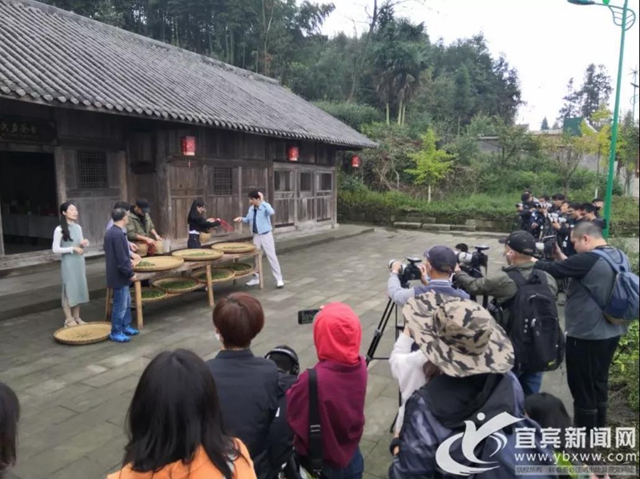 又一波明星大咖来宜宾录节目！这个地方要火了……(图5)